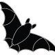 bat conservation india trust